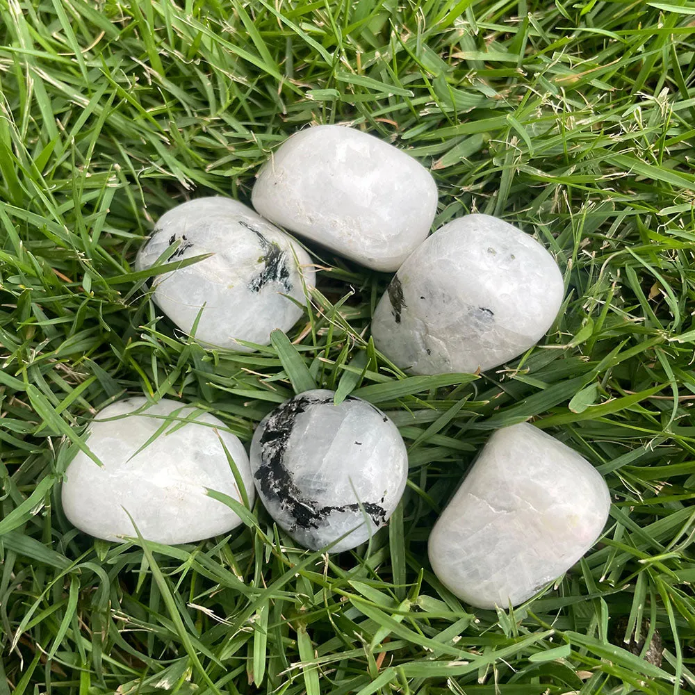 Rainbow Moonstone Tumbles