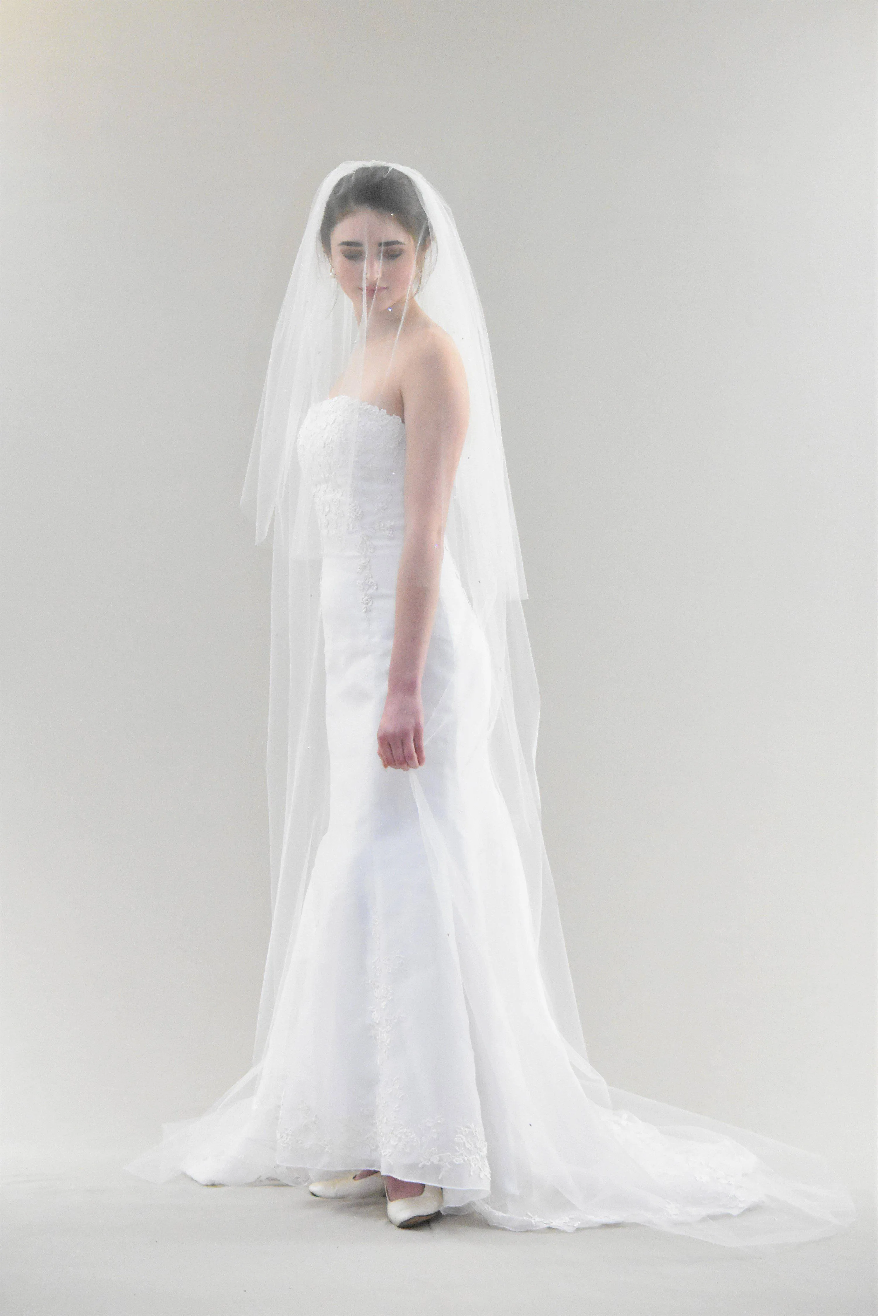 Sparkling Cathedral Veil with Blusher