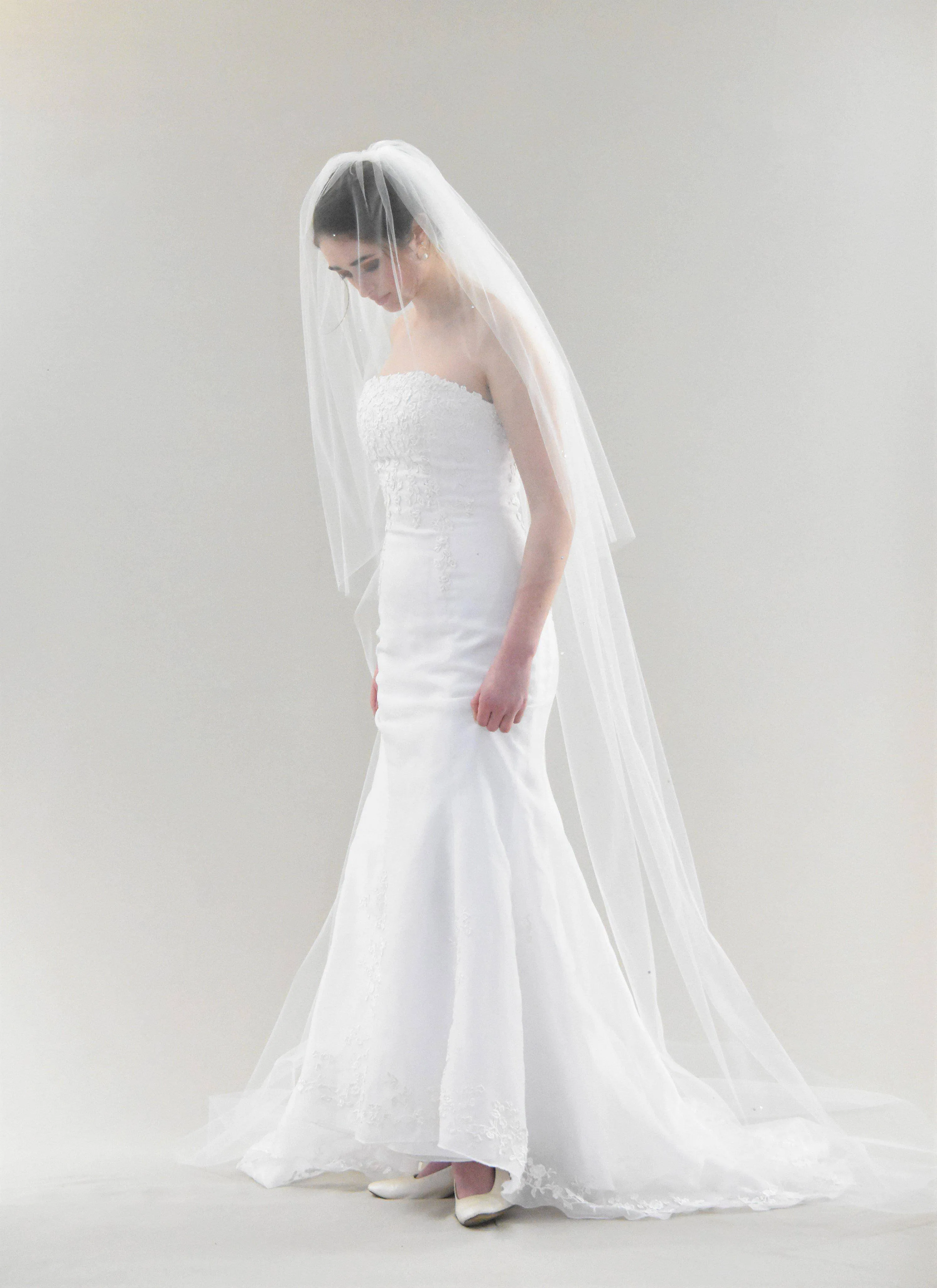 Sparkling Cathedral Veil with Blusher