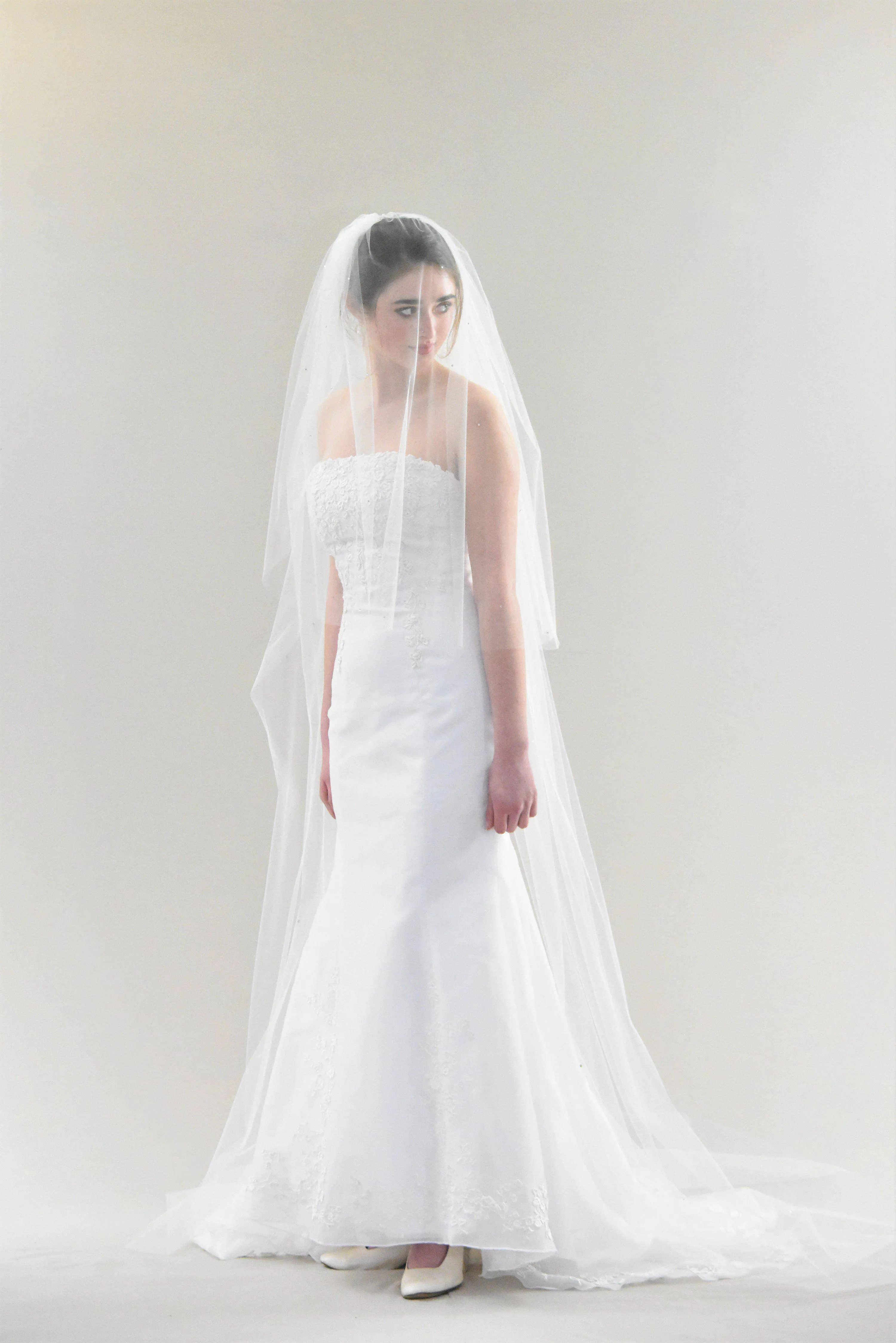 Sparkling Cathedral Veil with Blusher