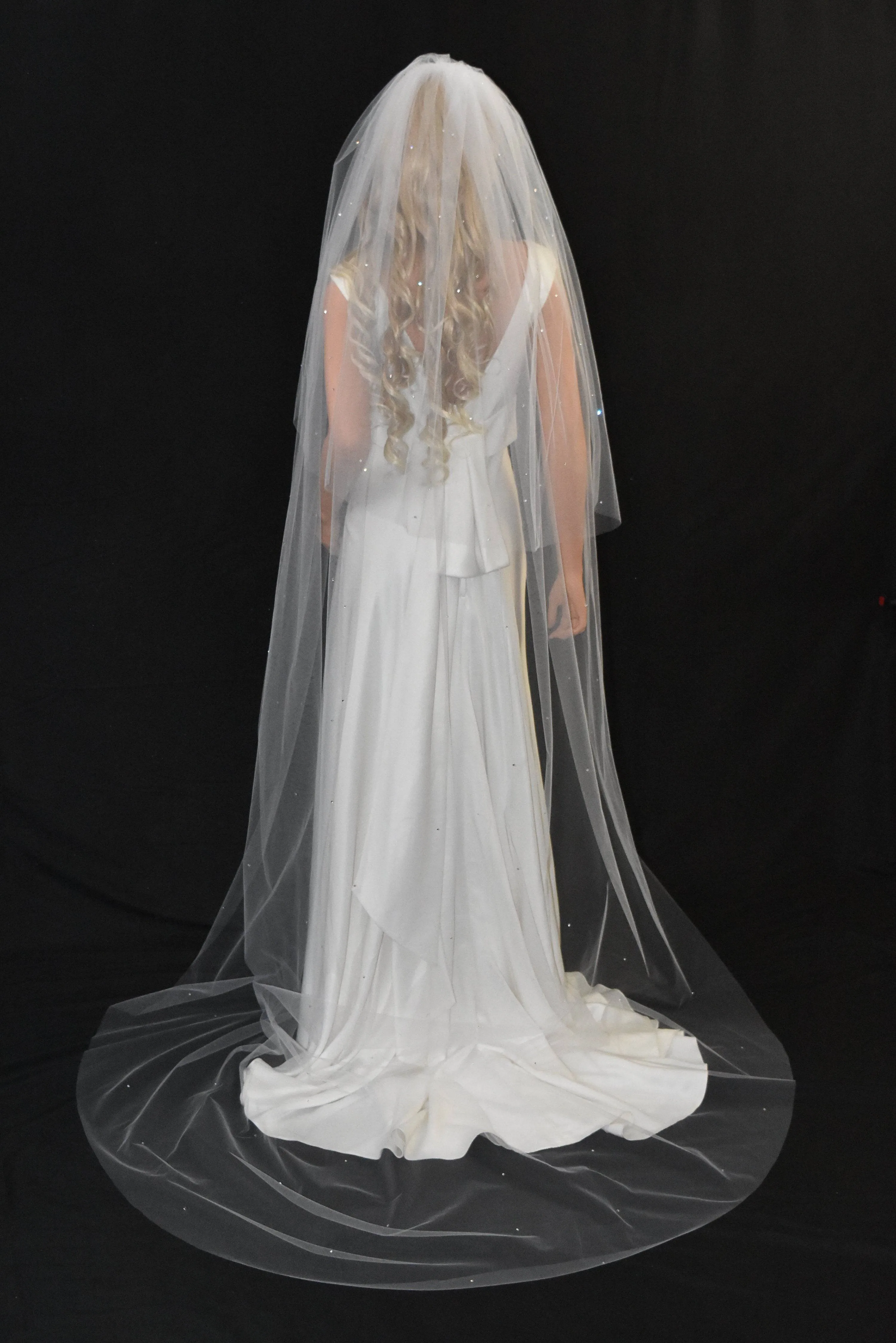 Sparkling Cathedral Veil with Blusher