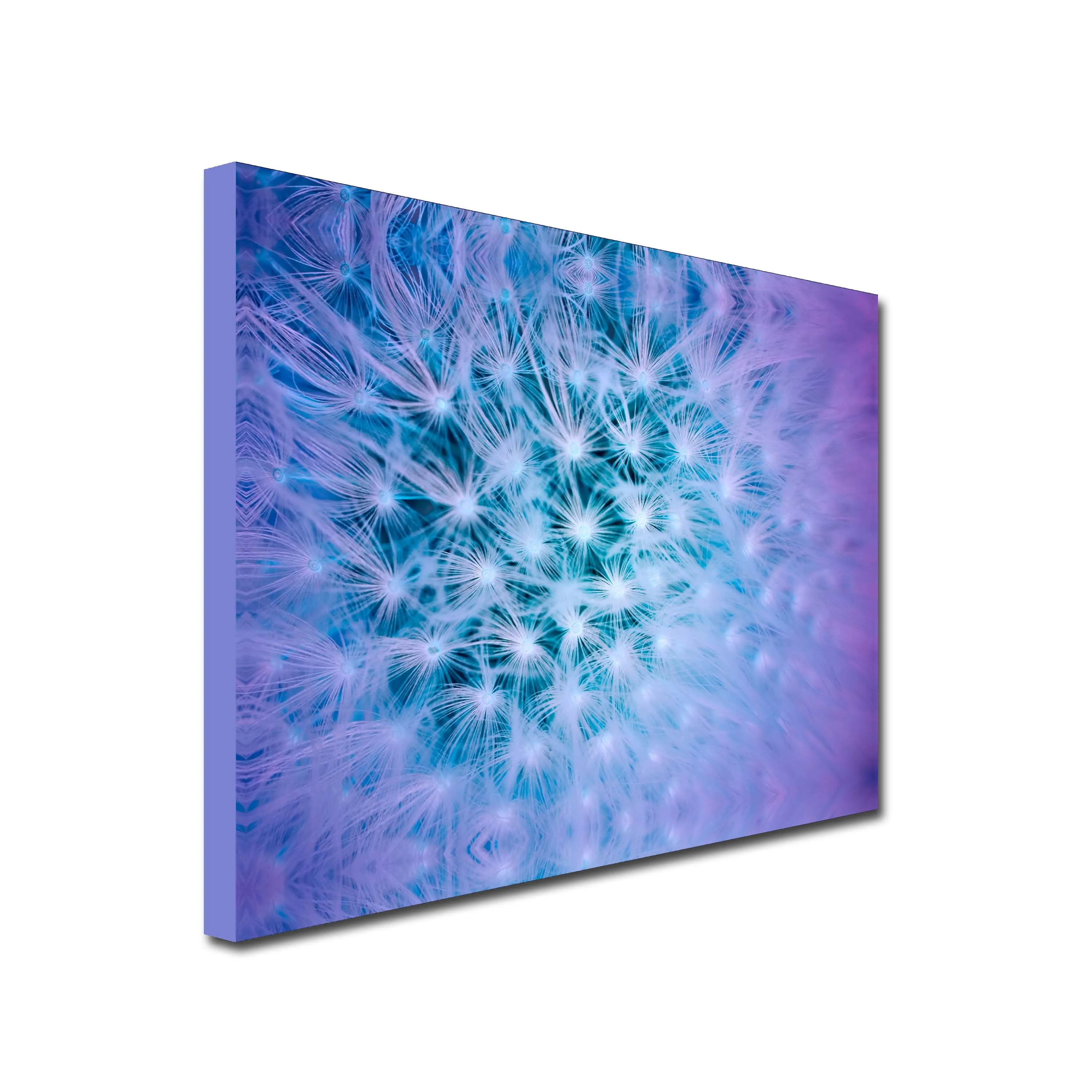 Sparkling Thistle Art Canvas