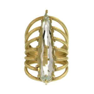 The Aquamarine Vertebrate Ring